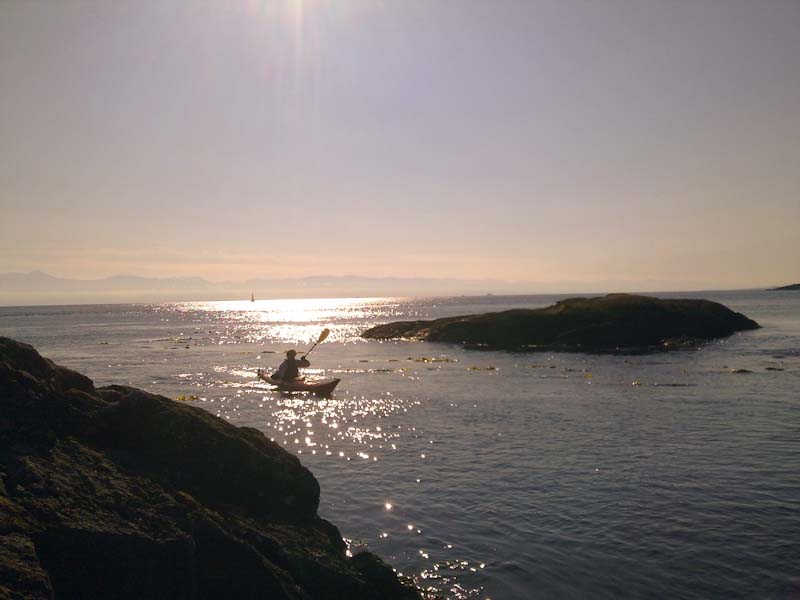 A Day in Victoria - Kayak Tours, Rentals & Courses | 550 Beach Dr, Victoria, BC V8S 2M5, Canada | Phone: (778) 678-4563