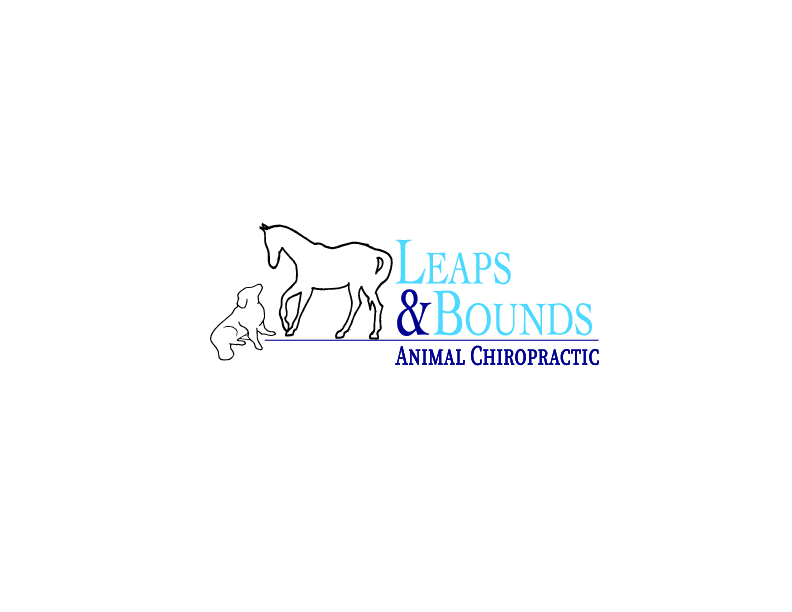 Leaps & Bounds Animal Chiropractic | 6600 Main St, Whitchurch-Stouffville, ON L4A 7W9, Canada | Phone: (647) 203-7441