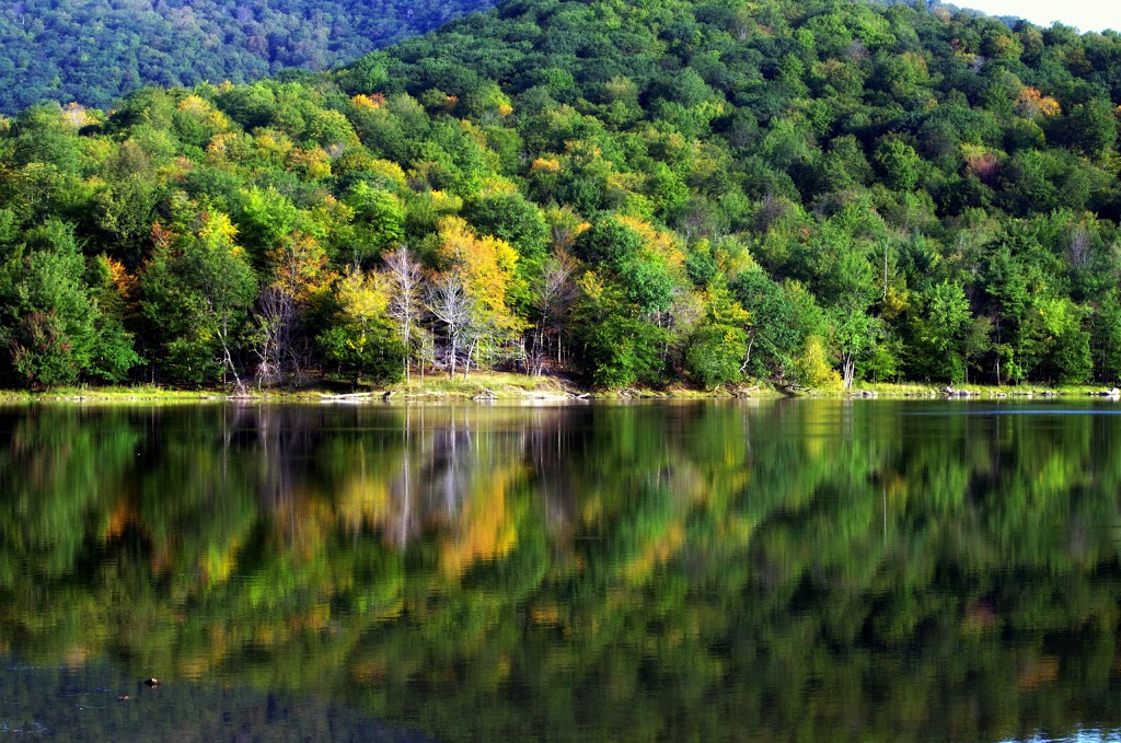 Gault Nature Reserve of McGill University | 422 Chemin des Moulins, Mont-Saint-Hilaire, QC J3G 4S6, Canada | Phone: (450) 467-4010