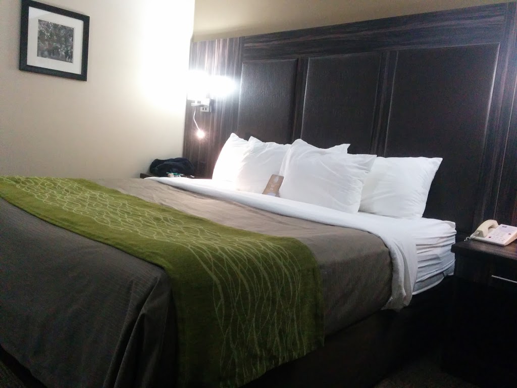 Comfort Inn | 2 Dunlop Dr, St. Catharines, ON L2R 1A2, Canada | Phone: (905) 687-8890