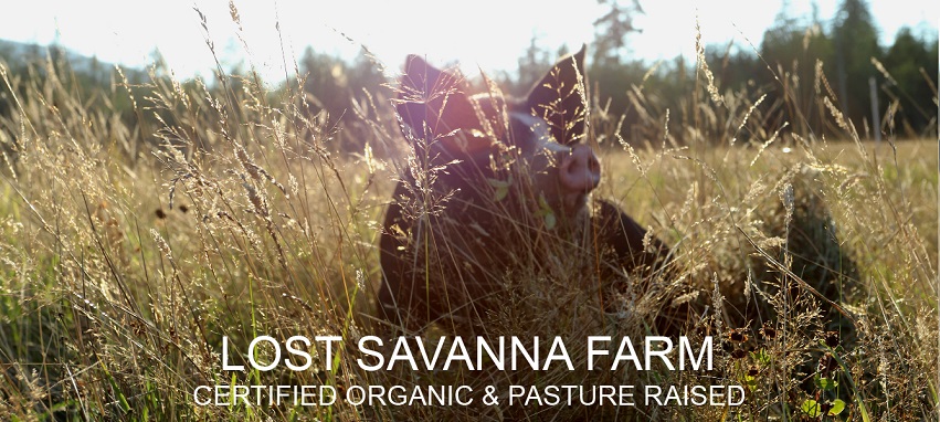 Lost Savanna Farm | 7521 Sturgess Rd, Black Creek, BC V9J 1G7, Canada | Phone: (250) 202-2729