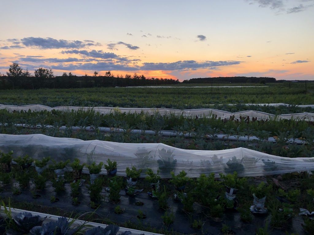 Les Jardins du Cheval blanc | 1676 Rang de lAcadie, Saint-Antoine-sur-Richelieu, QC J0L 1R0, Canada | Phone: (514) 641-5318