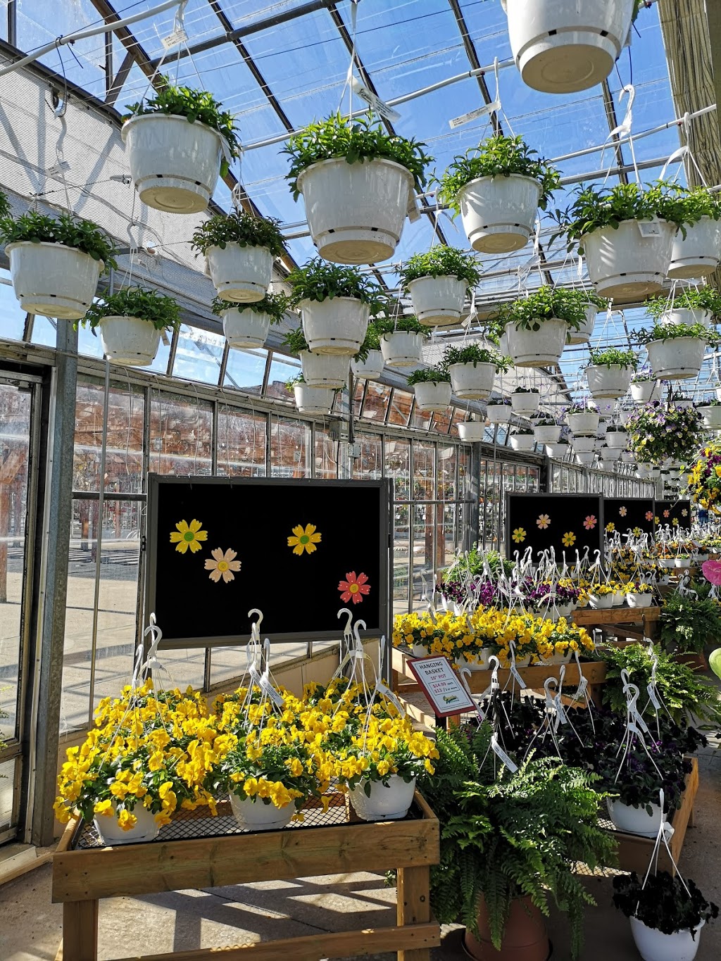 Sunshine Express Garden Centre | 18 Carlton St, Niagara-on-the-Lake, ON L0S 1J0, Canada | Phone: (905) 641-0983