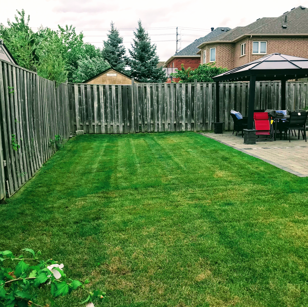 Turf Smart Lawn & Snow Care | 29 Attraction Dr, Brampton, ON L6Y 2Z8, Canada | Phone: (647) 834-2448