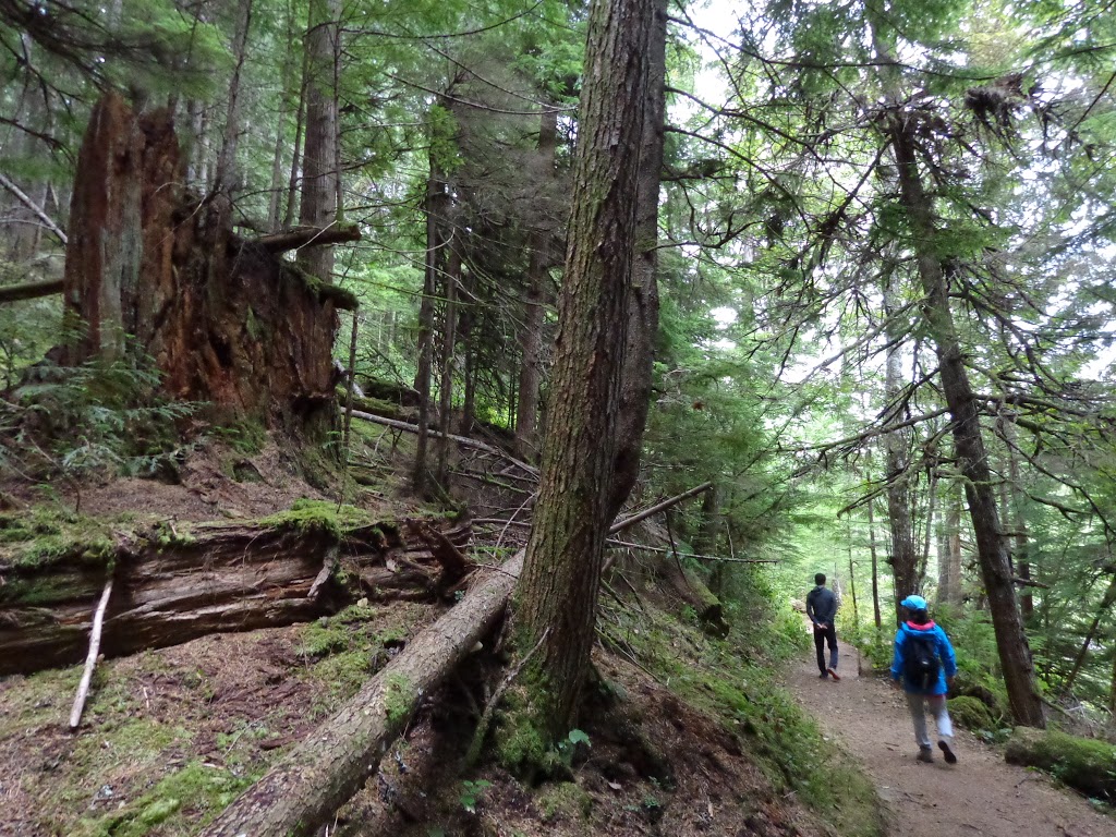 Stump Lake | Stump Lake, V0N 1H0, Squamish, BC V0N 1H0, Canada