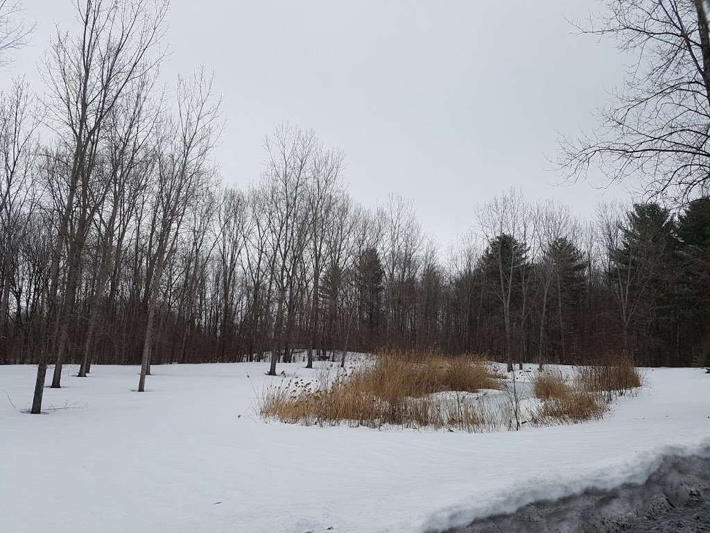 Dog park | 1P0, Rigaud, QC J0P 1P0, Canada