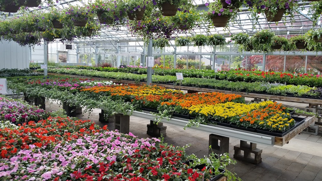 Vander Giessen Nursery | 401 E Grover St, Lynden, WA 98264, USA | Phone: (360) 354-3097