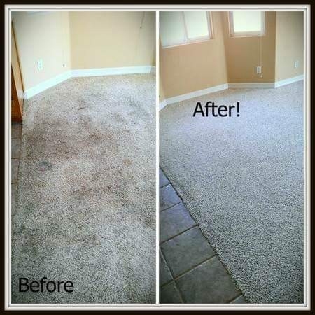 Steam Carpet Care | The Ave NW, Edmonton, AB T6P 7Y8, Canada | Phone: (587) 409-0797