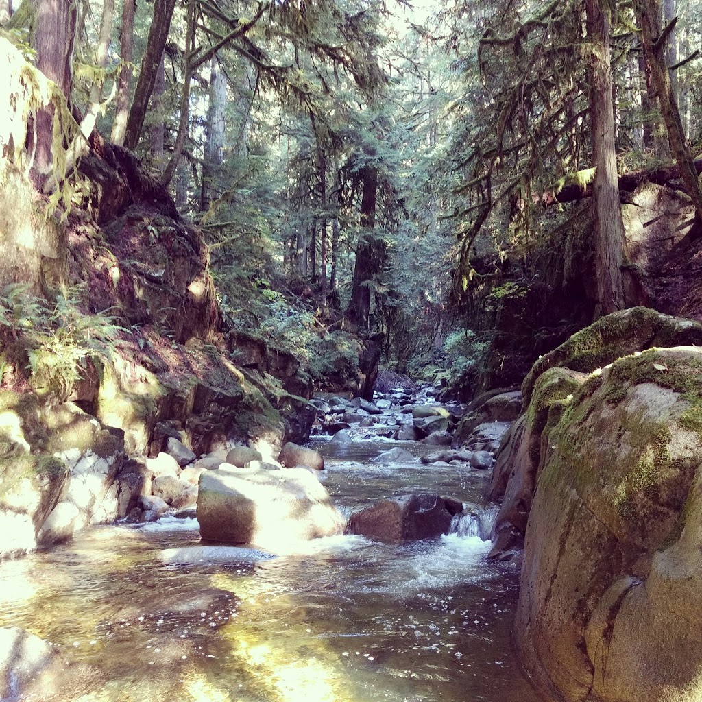 Cypress Falls Park | West Vancouver | Woodgreen Pl, West Vancouver, BC V7S 2V6, Canada | Phone: (604) 925-7275