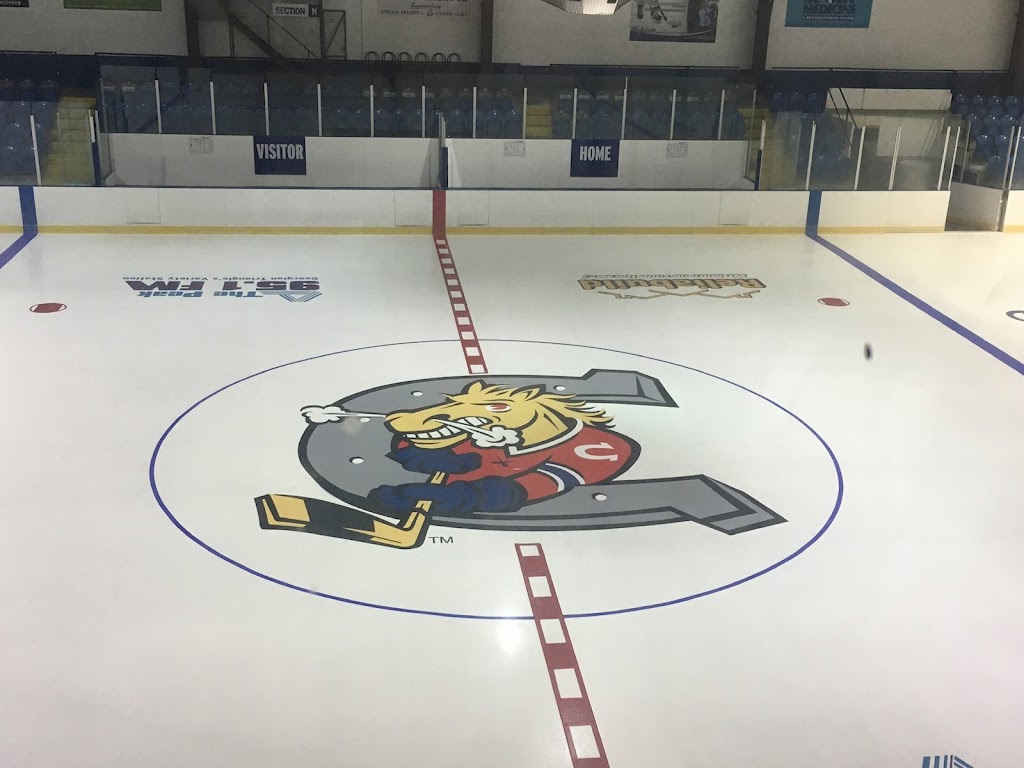 CANADIAN RINK SERVICES | 5715 75 Line, Atwood, ON N0G 1B0, Canada | Phone: (519) 504-6496