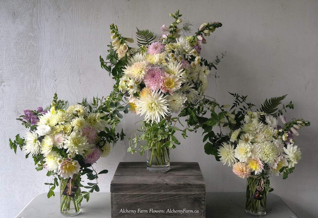 Alchemy Farm Flowers | 181 Furness Rd, Salt Spring Island, BC V8K 1Z7, Canada | Phone: (250) 930-3276