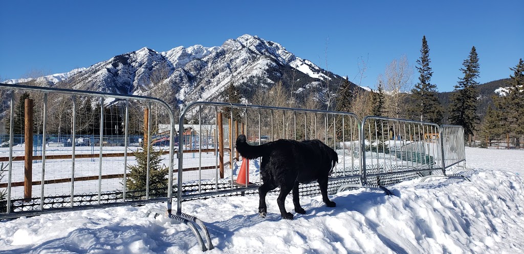 Banff Off-Leash Dog Park | Hawk Ave, Banff, AB T1L, Canada | Phone: (403) 762-1240