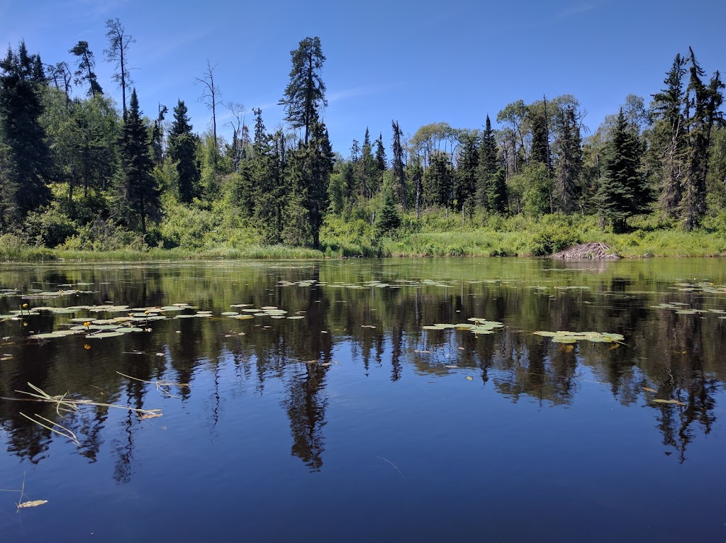 Woodland Caribou Provincial Park | 227 Howey St, Red Lake, ON P0V 2M0, Canada | Phone: (807) 727-1329