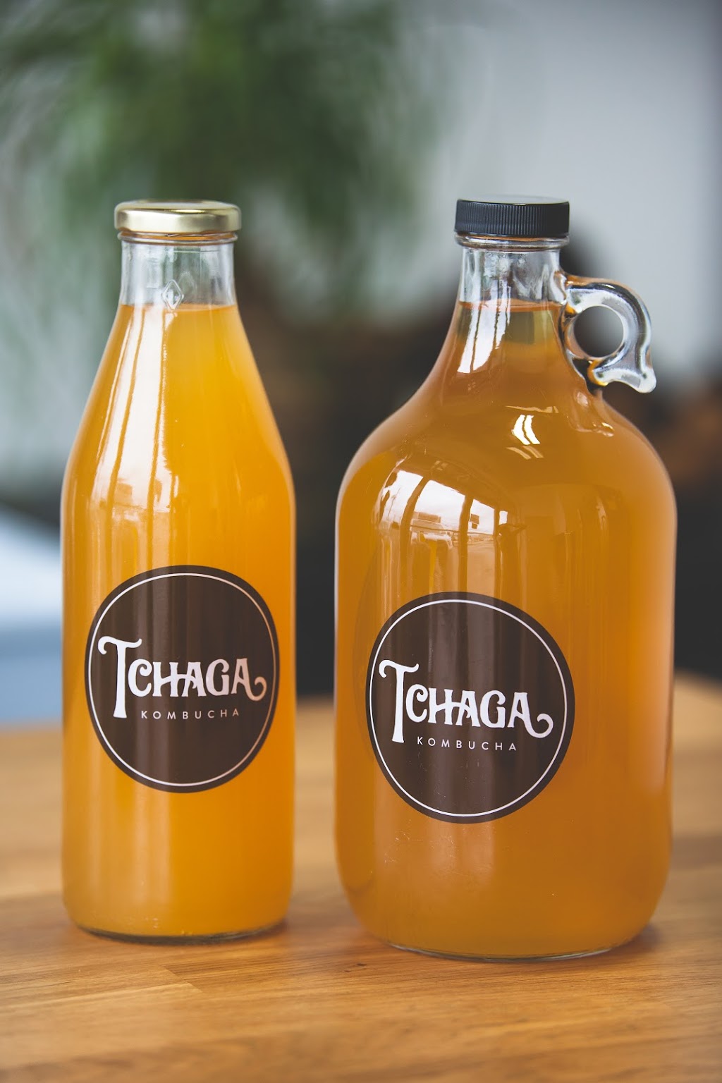 Tchaga Kombucha | 4870 Boulevard Industriel, Sherbrooke, QC J1L 2K7, Canada | Phone: (819) 416-5873