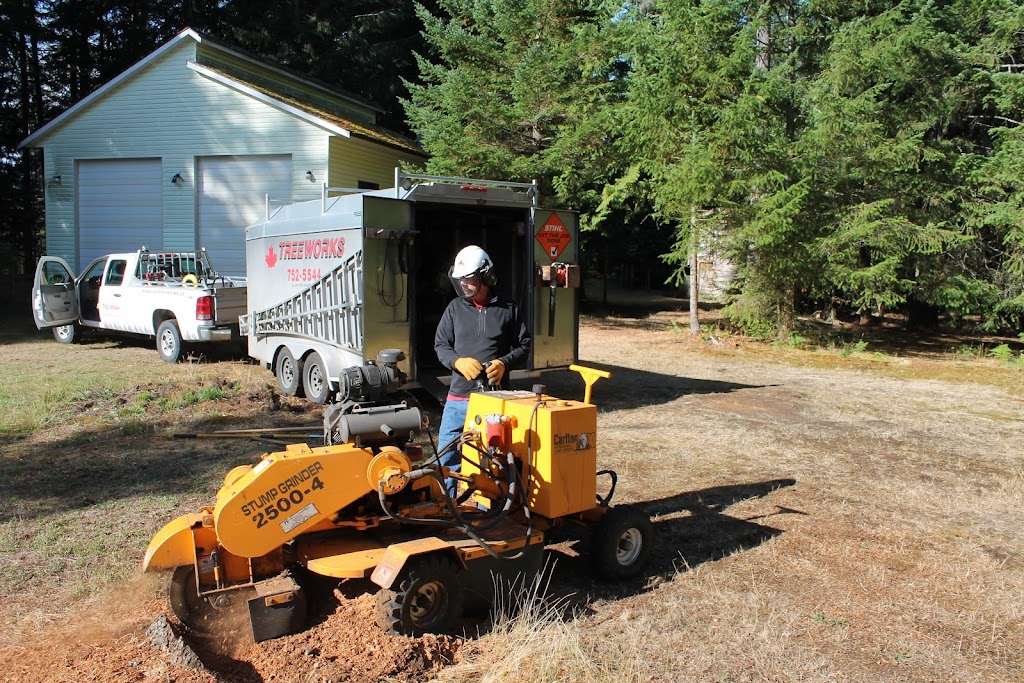 Treeworks Tree Services Ltd | 454 Maquinna Pl, Qualicum Beach, BC V9K 1B3, Canada | Phone: (250) 752-5544