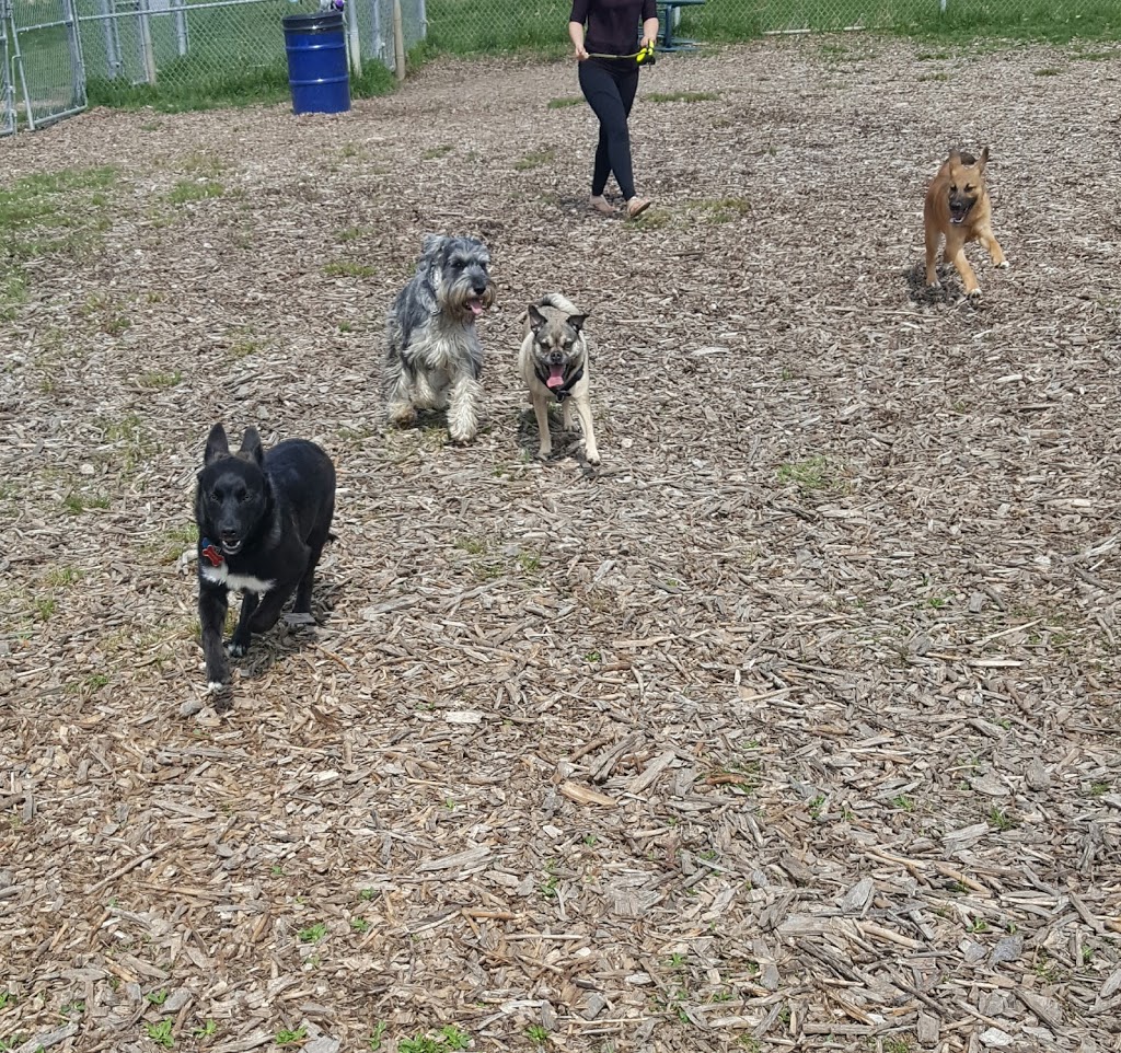 Georgina Leash Free Dog Park | 685 Lake Dr S, Keswick, ON L4P 1K7, Canada | Phone: (905) 476-4301