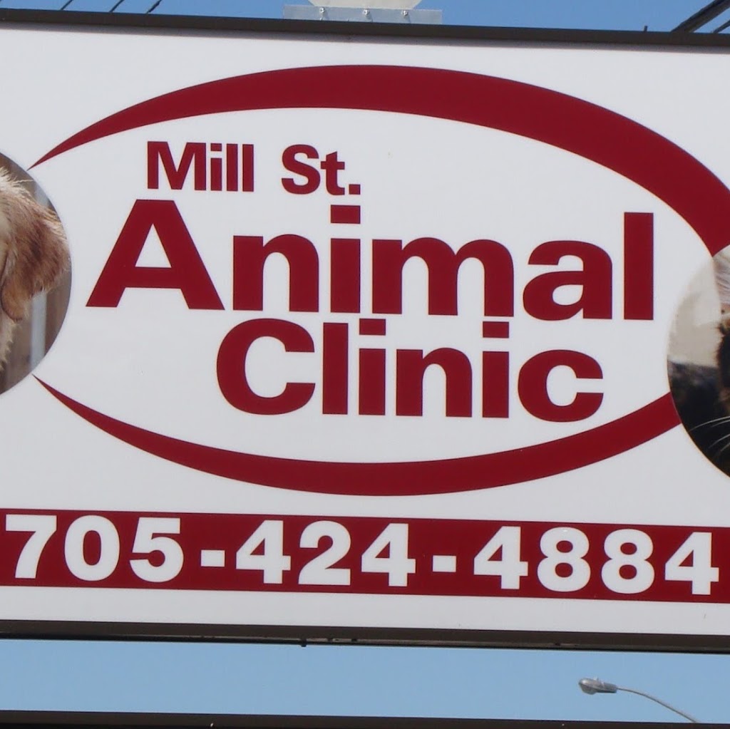 Mill St Animal Clinic | 159 Mill St, Angus, ON L0M 1B2, Canada | Phone: (705) 424-4884