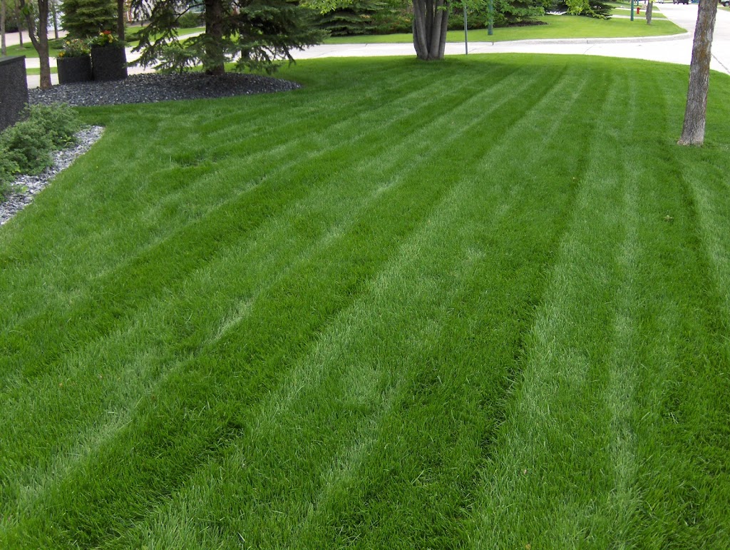 Green Blade Lawn Care | Box 70048 Kenaston PO, Winnipeg, MB R3P 0X6, Canada | Phone: (204) 837-1764