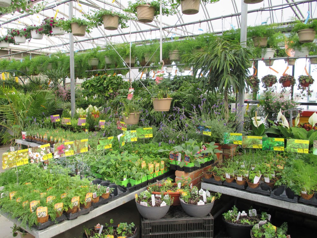 Sipkens Nurseries | 3261 London Line, Wyoming, ON N0N 1T0, Canada | Phone: (519) 542-8353