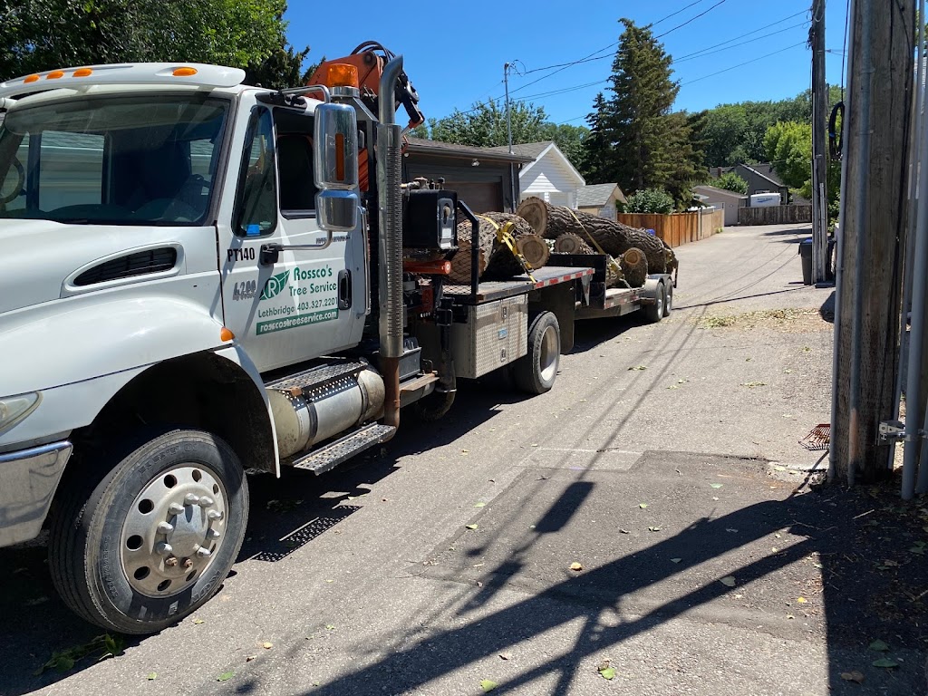 Rosscos Tree Service & Contracting Ltd. | 401 Clark Ave, Lethbridge, AB T1K 8H4, Canada | Phone: (403) 327-2201