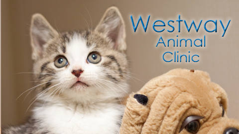 Westway Animal Clinic | 1500 Royal York Rd #29, Etobicoke, ON M9P 3B6, Canada | Phone: (416) 243-3200