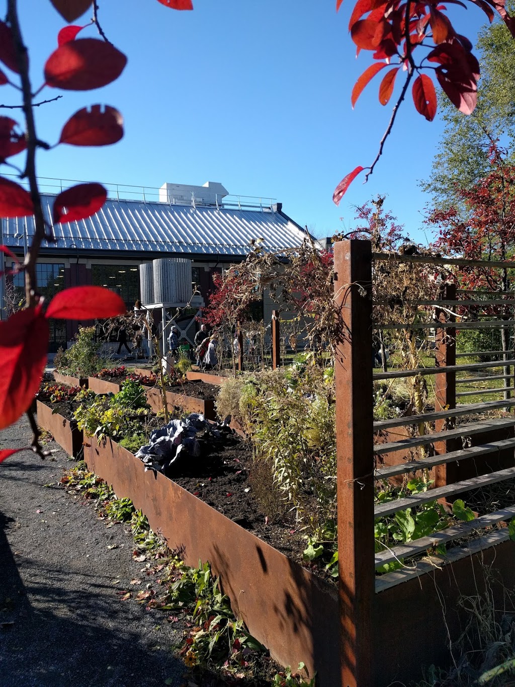 Civic Gardens - Lansdowne Park | The Glebe, Ottawa, ON K1S 5H6, Canada