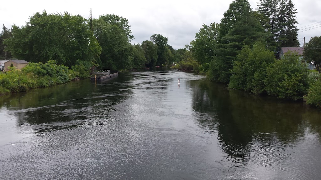 The Minden River Cone | 119 Bobcaygeon Rd, Minden, ON K0M 2K0, Canada | Phone: (705) 286-3456