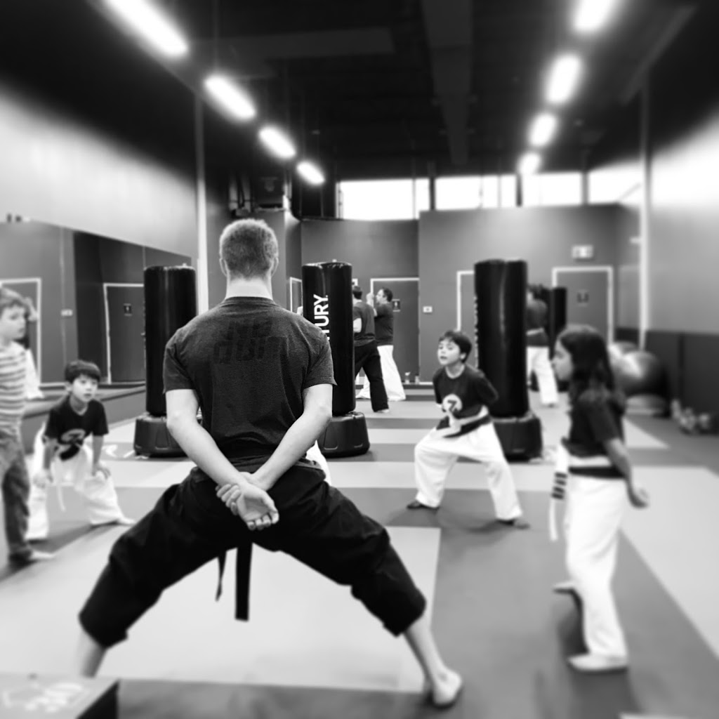 Silver 7 Martial Arts & Fitness | 737 Silver Seven Rd #6, Kanata, ON K2V 1C3, Canada | Phone: (613) 435-7717