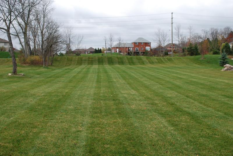 BJF Contracting - Lawn Care and Complete Property Maintenance | 408 Freelton Rd, Puslinch, ON N0B 2J0, Canada | Phone: (289) 259-1927