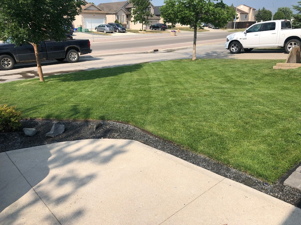 AAA Lawncare | 572 Island Shore Blvd, Winnipeg, MB R3X 2E3, Canada | Phone: (204) 782-5425