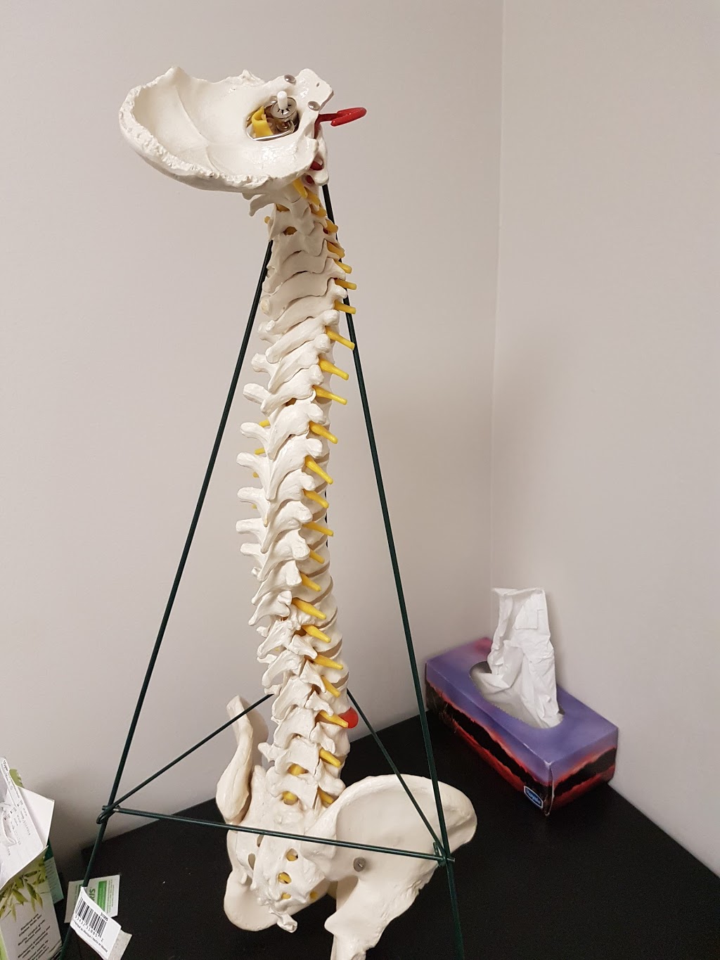 Oxford Spine Centre | 202-219 Oxford St W, London, ON N6H 1S5, Canada | Phone: (519) 601-2100