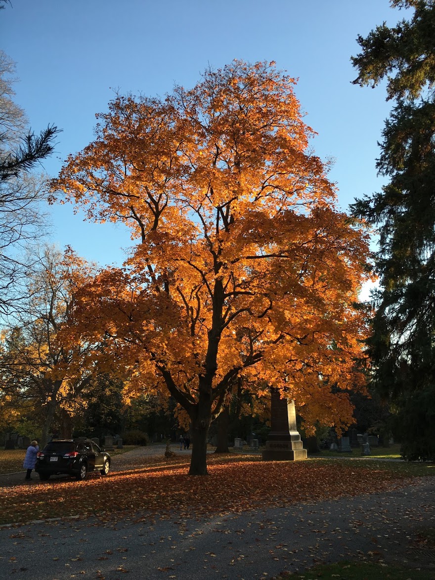 Mount Pleasant Cemetery, Cremation and Funeral Centres | 375 Mt Pleasant Rd, Toronto, ON M4T 2V8, Canada | Phone: (416) 485-9129