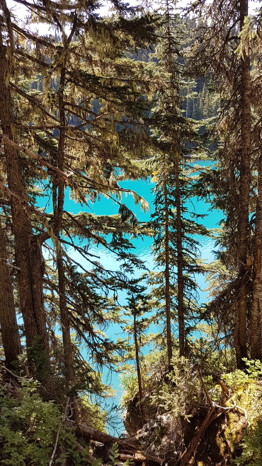 Black Tusk Trailhead | 0A0, Daisy Lake Rd, Whistler, BC V0N 0A0, Canada