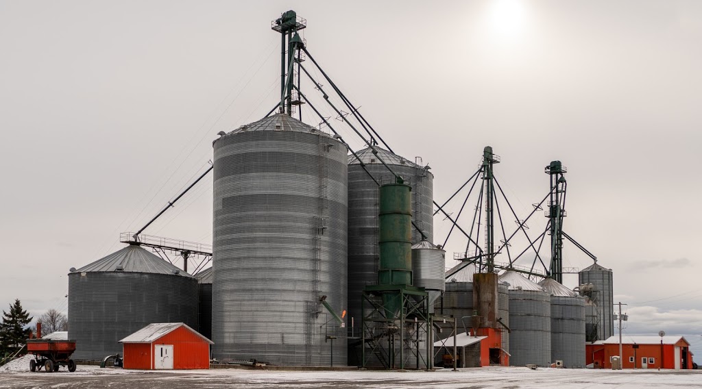 Momac Grain Elevators Ltd | 4750 Fallowfield Rd, Nepean, ON K2J 4S4, Canada | Phone: (613) 591-1137