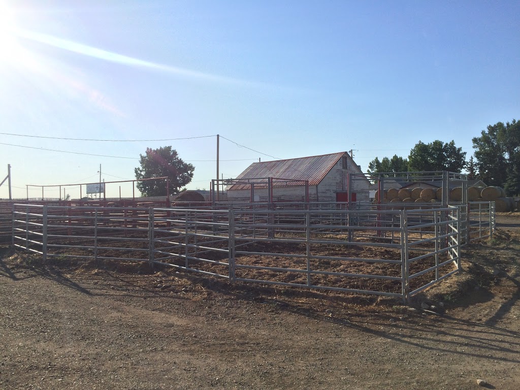 Foothills Auctioneers Inc. | 4700 50 St, Stavely, AB T0L 1Z0, Canada | Phone: (403) 549-2120