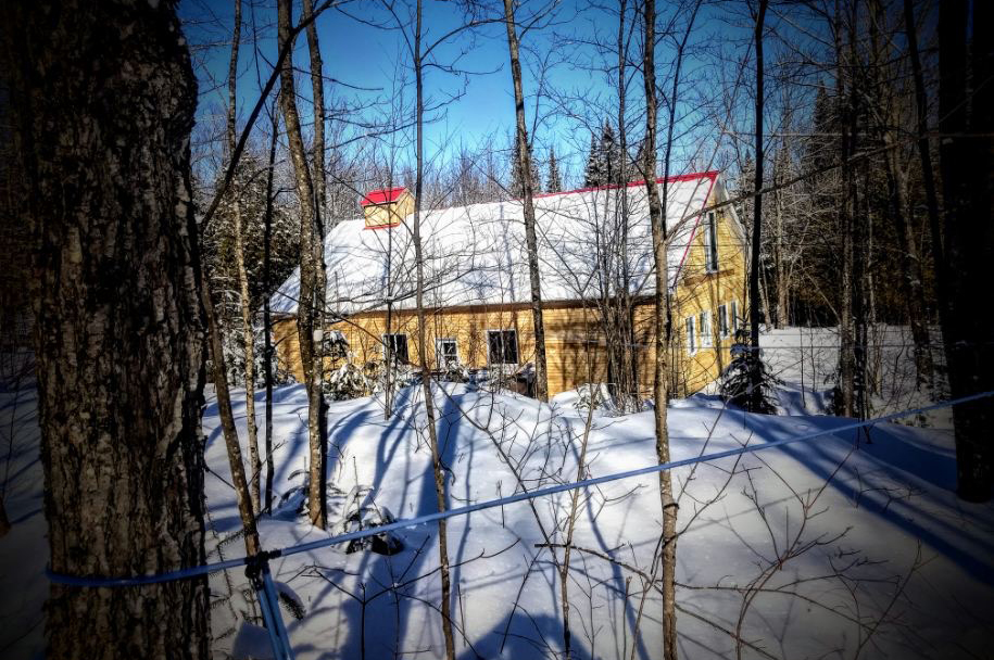 Cabane à Sucre la Martine | 184 Chemin Beauchesne, Saint-Romain, Quebec, QC G0Y 1L0, Canada | Phone: (819) 237-4701