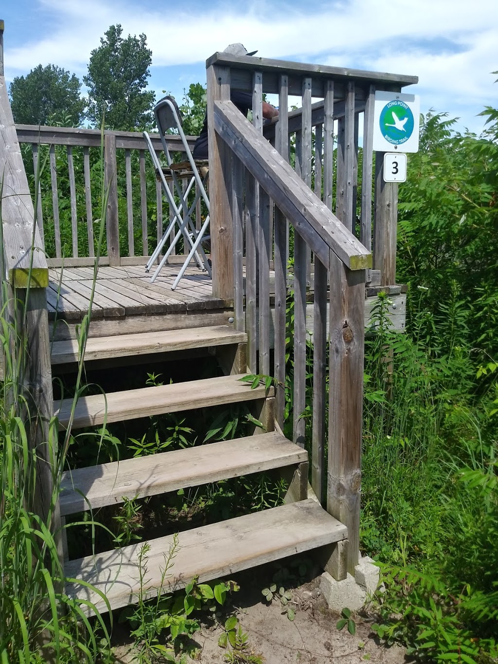 Long Point Bird Observatory | 13 Old Cut Blvd, Port Rowan, ON N0E 1M0, Canada | Phone: (519) 586-3531