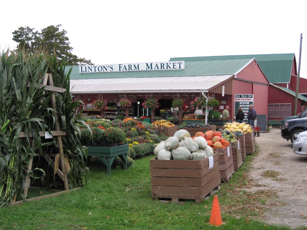 Lintons Farm Market | 571 Raglan Rd E, Oshawa, ON L1H 0N1, Canada | Phone: (905) 655-3949