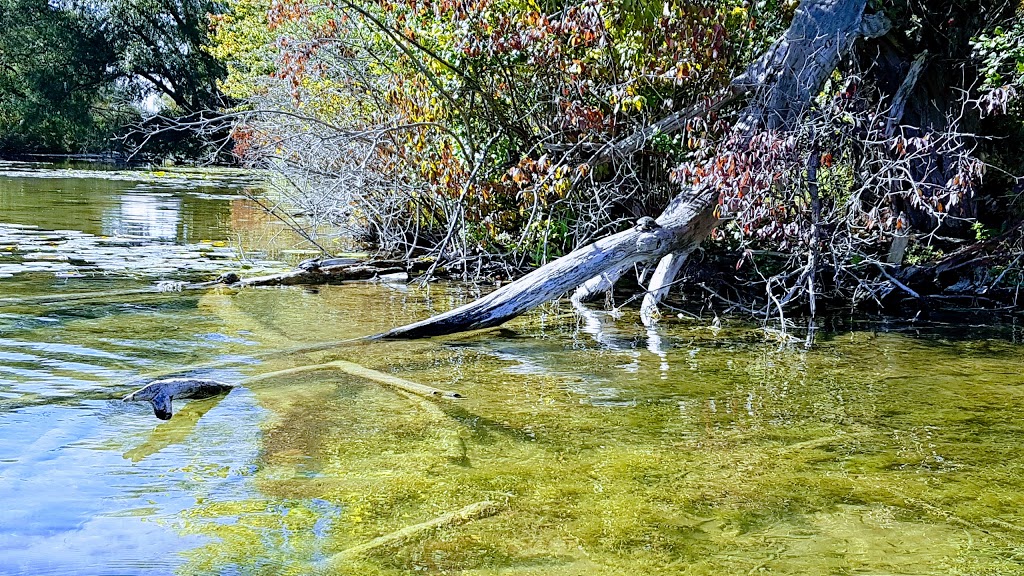 Lake Wilcox Fish & Wildlife Refuge | Richmond Hill, ON L4E 3H4, Canada | Phone: (905) 771-8800