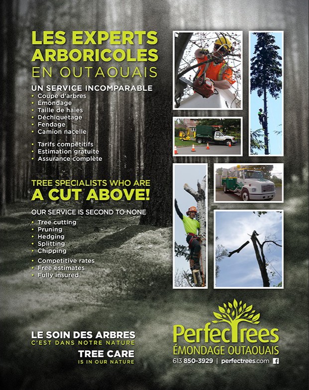 Émondage Outaouais/Perfectrees | 32 Chem. De La Batteuse, Sainte-Cécile-de-Masham, QC J0X 2W0, Canada | Phone: (613) 850-3929
