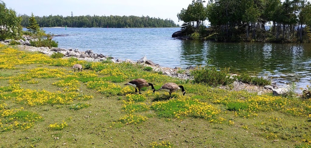 Manitoulin Island-wide Tourism Information Centre | 65 Water St, South Baymouth, ON P0P 1Z0, Canada | Phone: (705) 368-3021