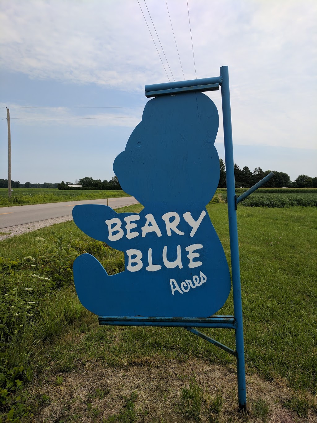 Beary Blue Acres | 23301 Queens Line, Rodney, ON N0L, Canada | Phone: (519) 785-0450