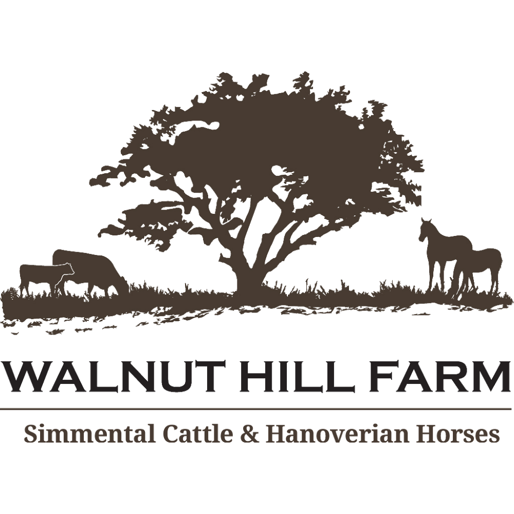 Walnut Hill Farms Hanoverians | Town Line, 265 Brant-Elderslie, Paisley, ON N0G 2N0, Canada | Phone: (905) 902-4497