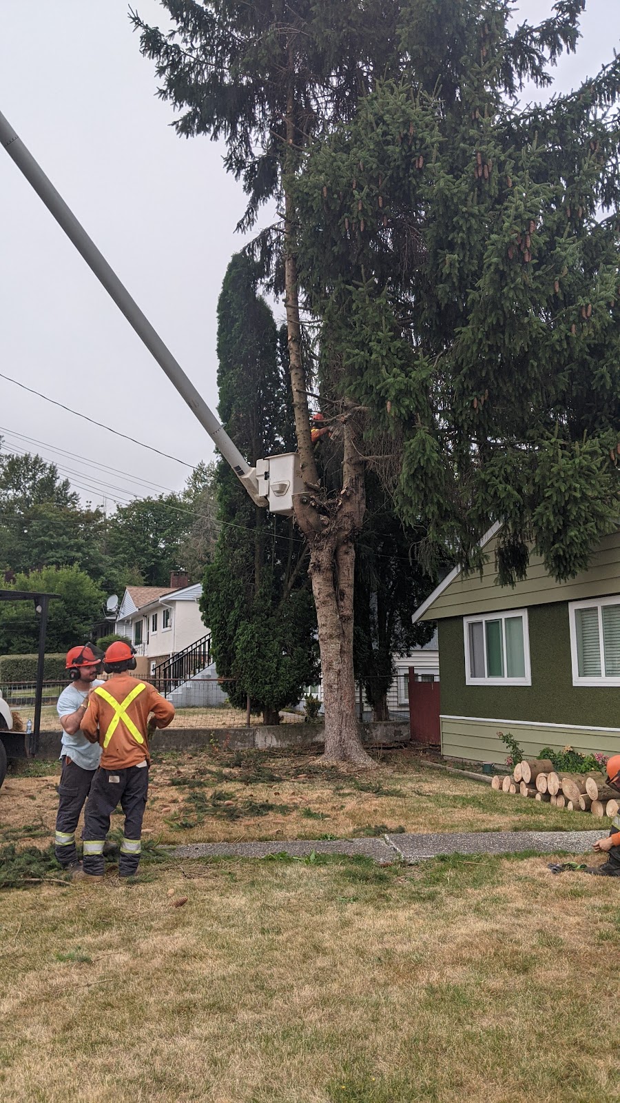 Riteway Tree Service Ltd | 3600 248 Street Aldergrove, Langley Twp, BC V4W, Canada | Phone: (604) 533-4245