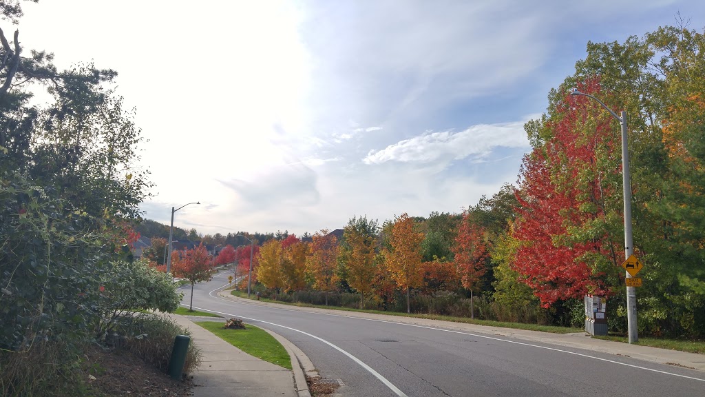 Moraine Park | 4K7, Oak Ridges Trail, Richmond Hill, ON L4E 4K7, Canada