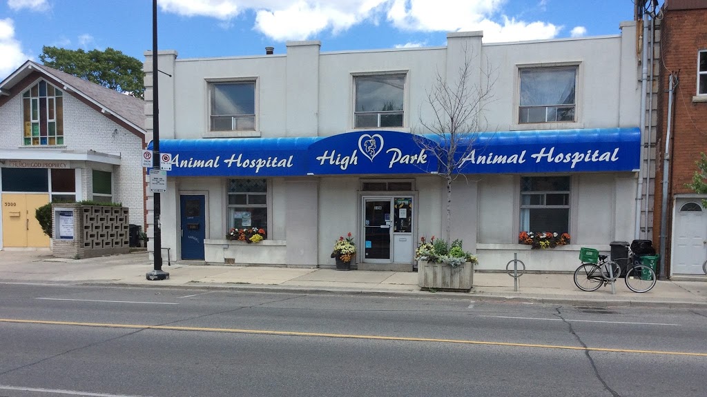 Animal Hospital Of High Park | 3194 Dundas St W, Toronto, ON M6P 2A3, Canada | Phone: (416) 763-4200