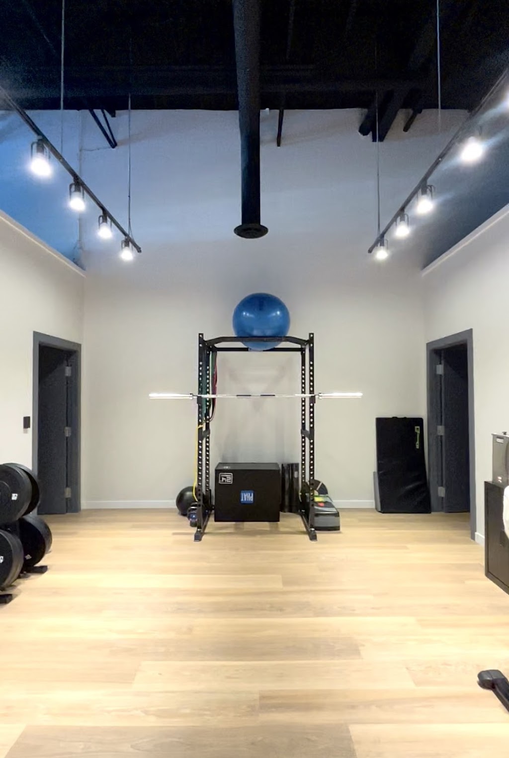 ALTA Spine and Sports Therapy | 145 Hamilton St N unit E6, Waterdown, ON L8B 0Y7, Canada | Phone: (905) 689-8282