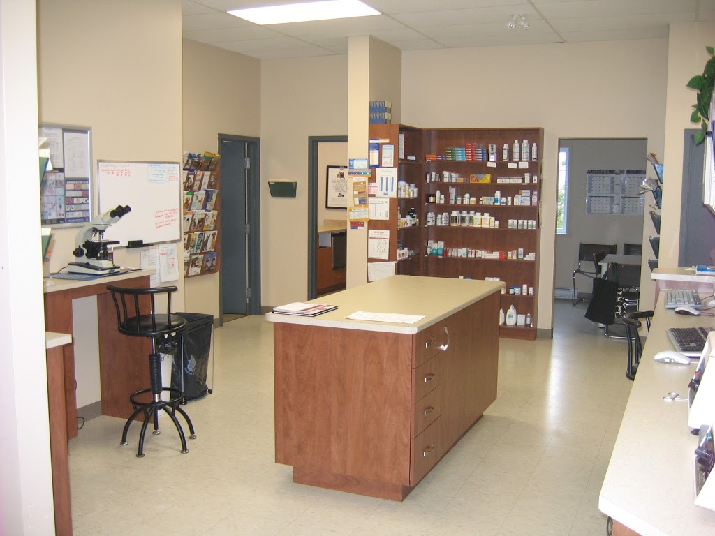 Clinique Vétérinaire de Beaumont | 346 Route du Fleuve, Beaumont, QC G0R 1C0, Canada | Phone: (418) 838-3030