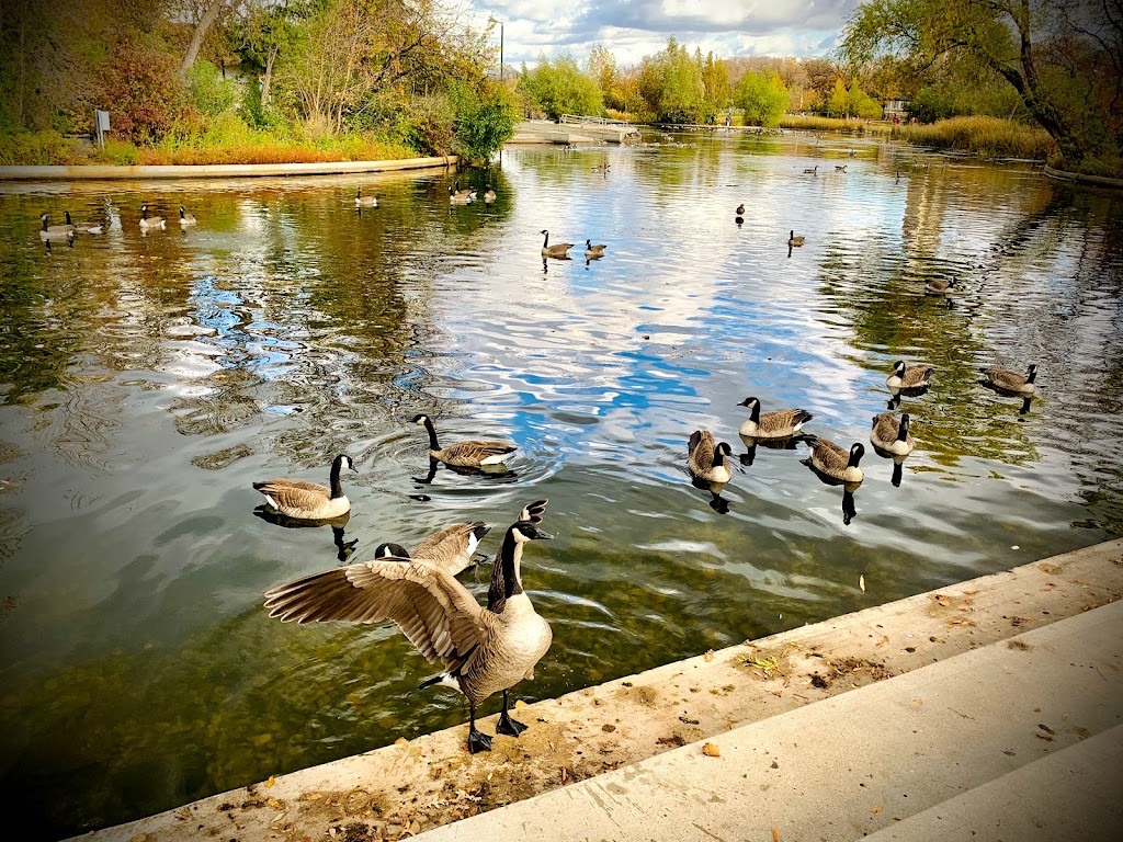 Assiniboine Park Duck Pond Shelter | Assiniboine Park, Winnipeg, MB R3P 2N8, Canada | Phone: (204) 927-6000