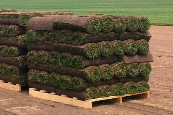 Southern Ontario Sod | 284 Broadway Ave, Hamilton, ON L8S 2J7, Canada | Phone: (905) 532-8183